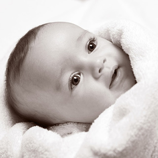 Newborn Studio Portrait Session image